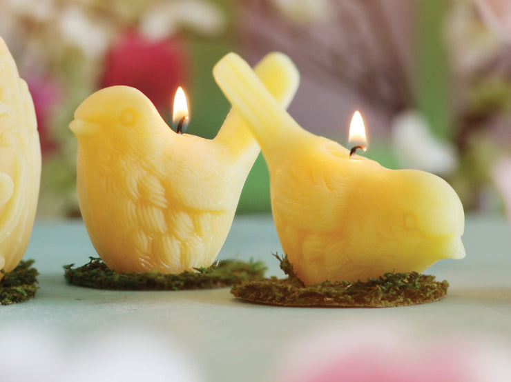 Beeswax Song Birds