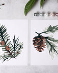 Winter Greenery Paint-By-Numbers kit